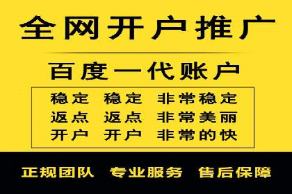 SEM推广优化实战：案例分析与启示
